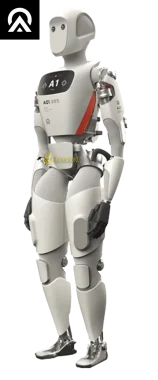 Humanoid guide Apollo