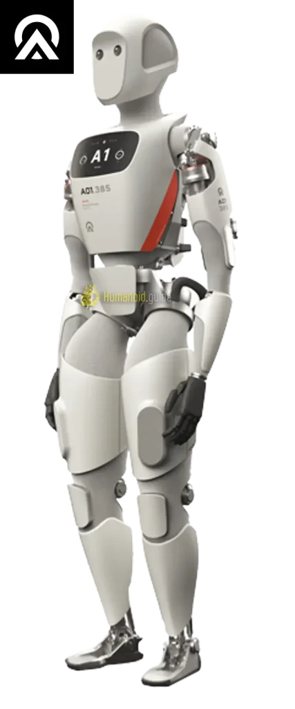 Humanoid guide Apollo
