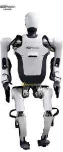 DR01