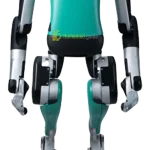 humanoid Digit