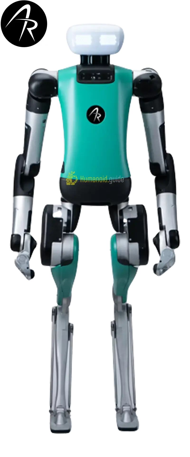 MERA Robotics Architects Of The Future