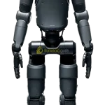 figure2 humanoid
