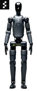 figure2 humanoid