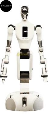 Humanoid guide Galbot
