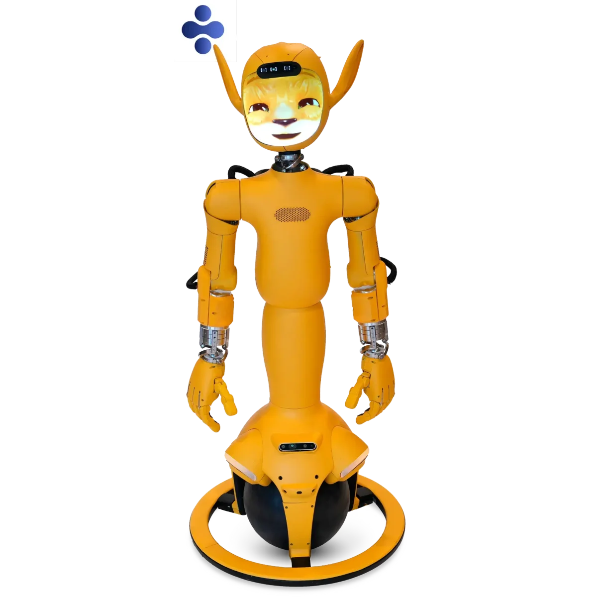 Mirokaï robots from Enchanted Tools - Featured Image