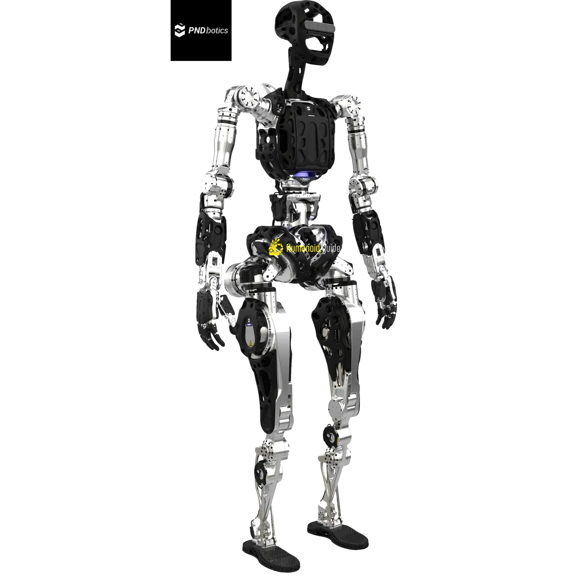 Adam-SP-pndbotics-humanoid.
