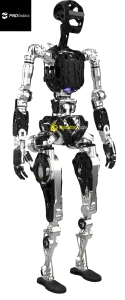 Adam SP