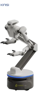 Kinisi 01