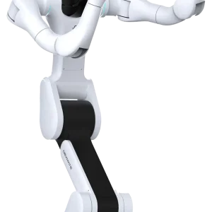 Vega Dexmate humanoid guide