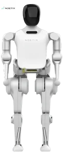 N2