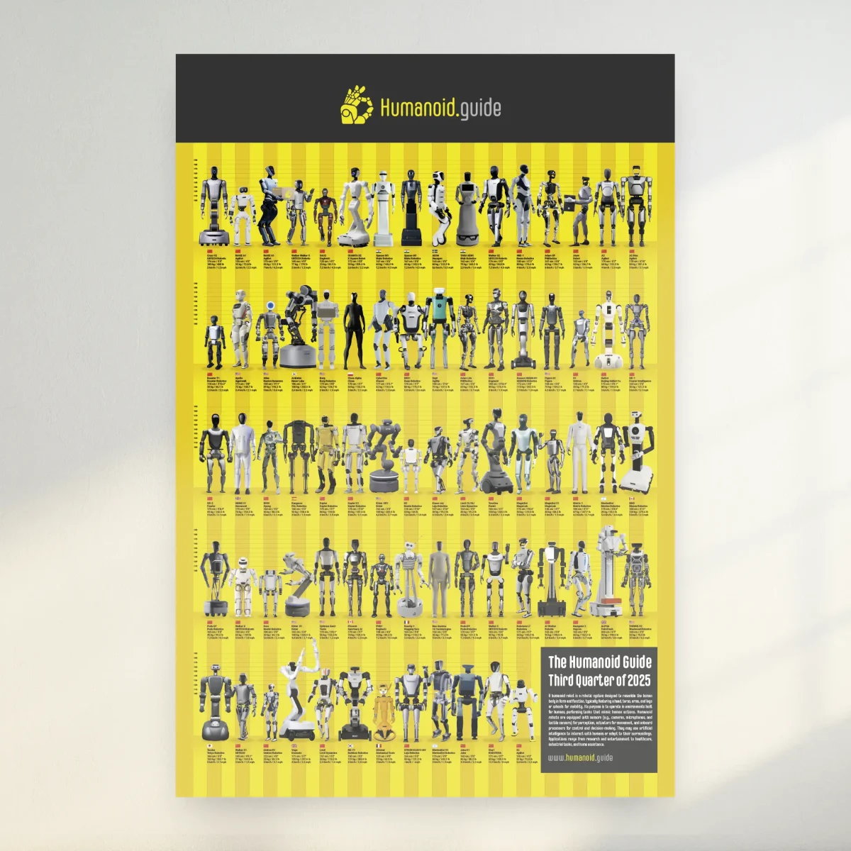 humanoid robot humanoid robot