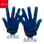 WUJI Tech WUJI Hand humanoid guide