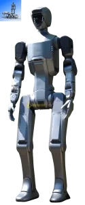DR02