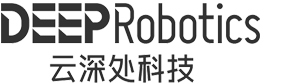 deep Robotic logo humanoid guide