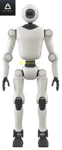 PHYBOT C1