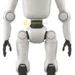 PHYBOT C1 humanoid robot standing upright, showing its compact design and lightweight research-oriented structure humanoid guide