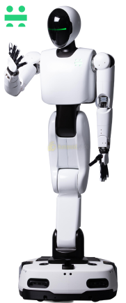 Friday Holiday Robotics Humanoid guide