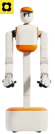 MEMO Sunday Robotics humanoid guide