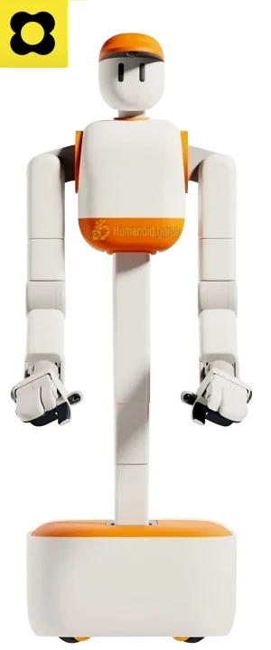 MEMO Sunday Robotics humanoid guide