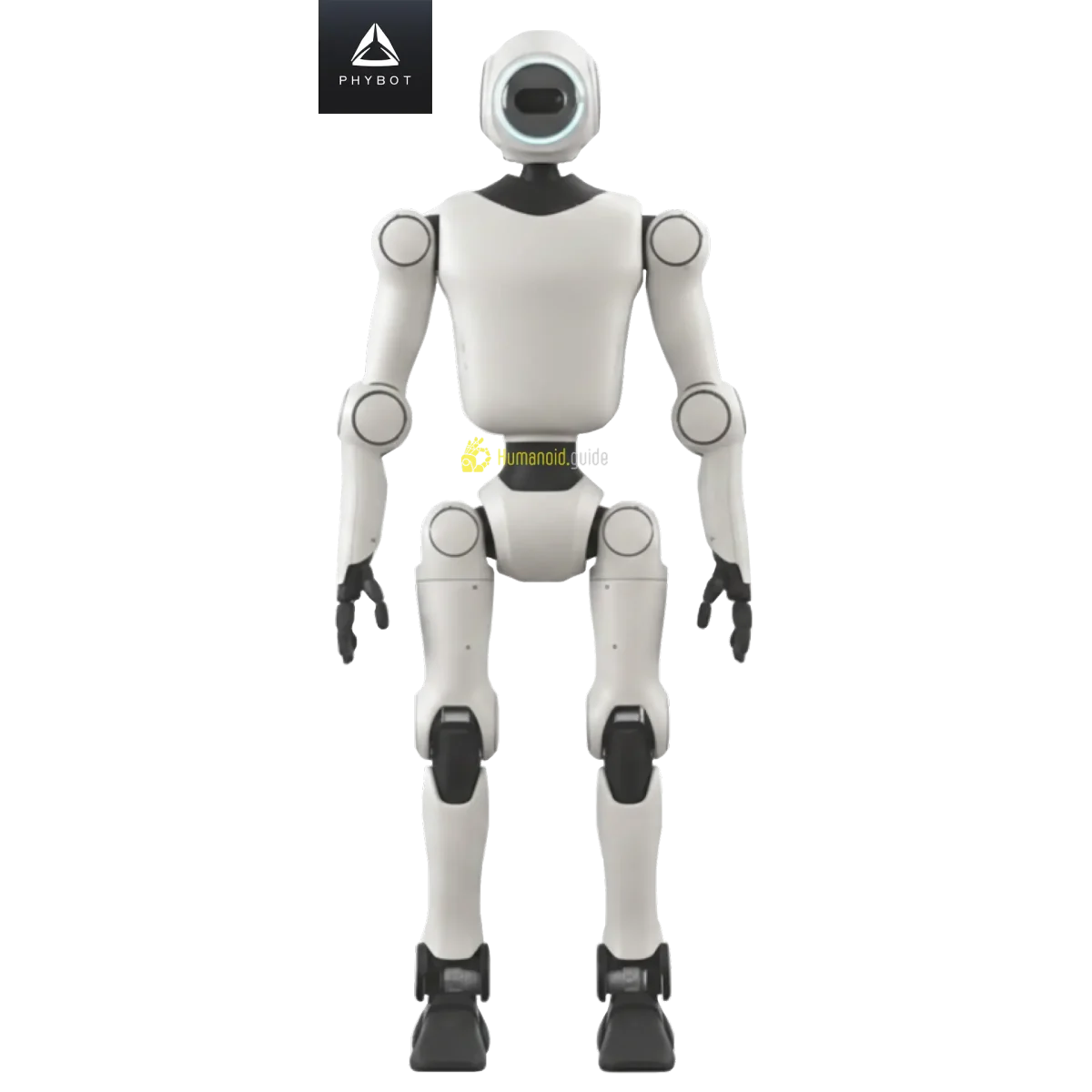 C1 by PHYBOT - Featured Image C1 by PHYBOT - Featured Image