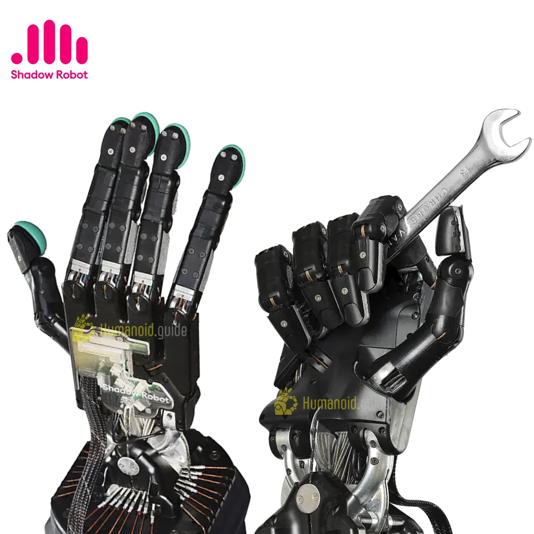 Dexterous Hand Series by Shadow Robot humanoid guide Dexterous Hand Series by Shadow Robot humanoid guide