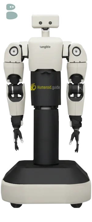 Eggie humanoid robot by Tangible Robots