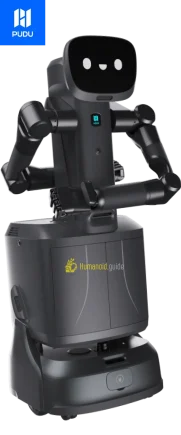 Humanoid robot guide