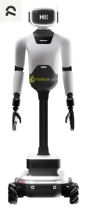 RNoid