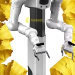 Robin humanoid robot by Roboligent humanoid guide