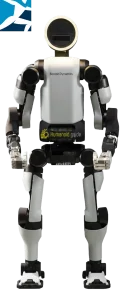 Atlas