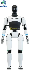 DexBot
