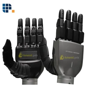 RH5DG2 hand by Inspire-Robots humanoid guide