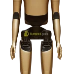 OPTIMUS V2.5 humanoid robot by Tesla humanoid guide