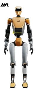 Totan O1