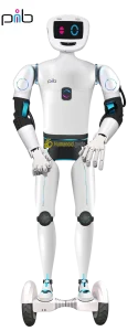 pib.Pro