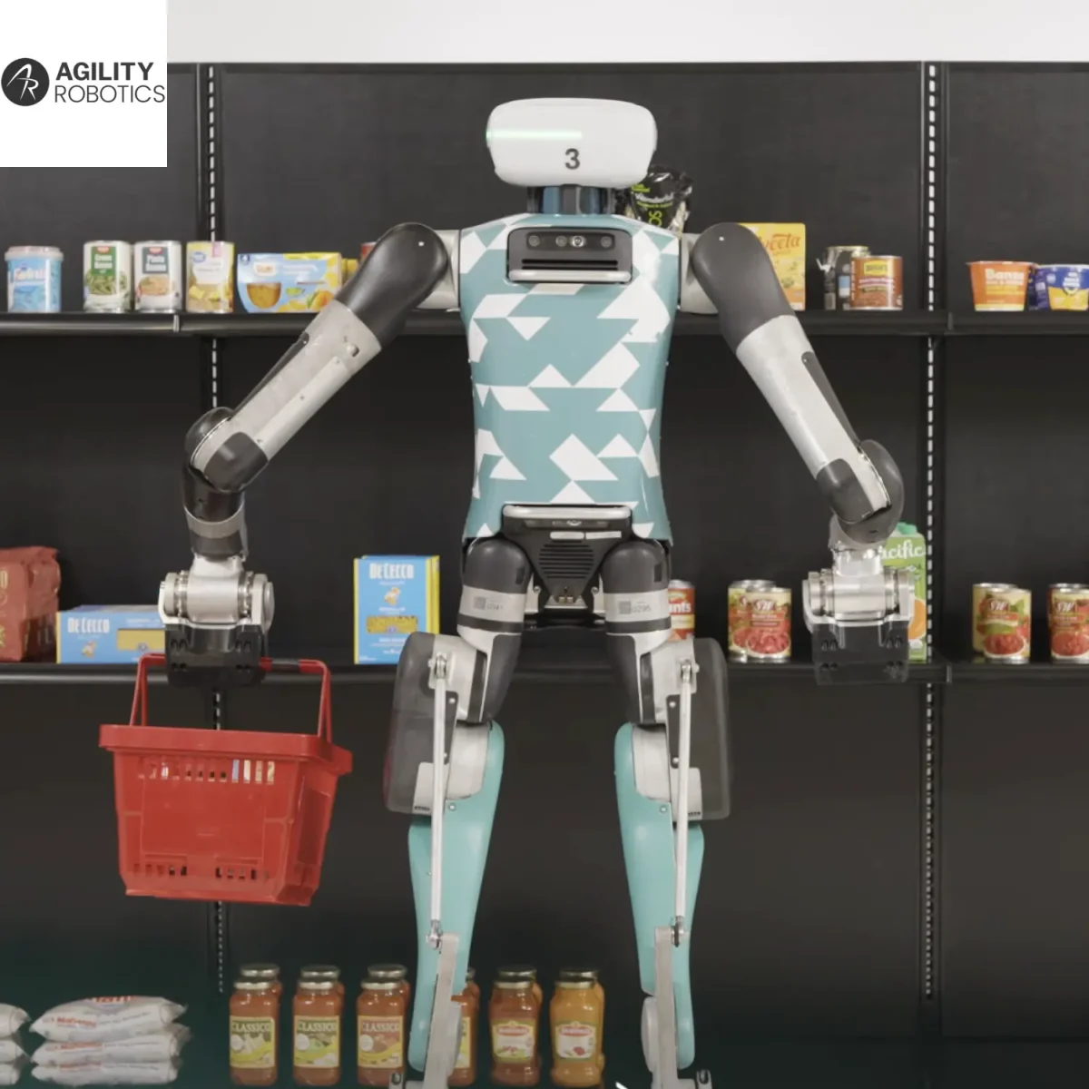 Agility Whole-Body Control FM Foundation Model - Humanoid Guide