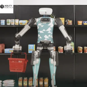 Agility Whole-Body Control FM Foundation Model - Humanoid Guide