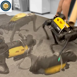 DayDreamer Foundation Model - Humanoid Guide