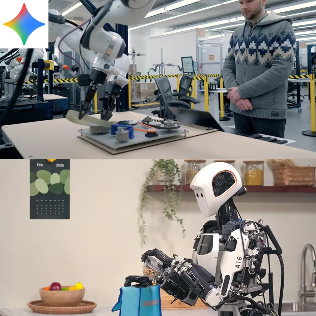 Gemini Robotics On-Device Foundation Model - Humanoid Guide