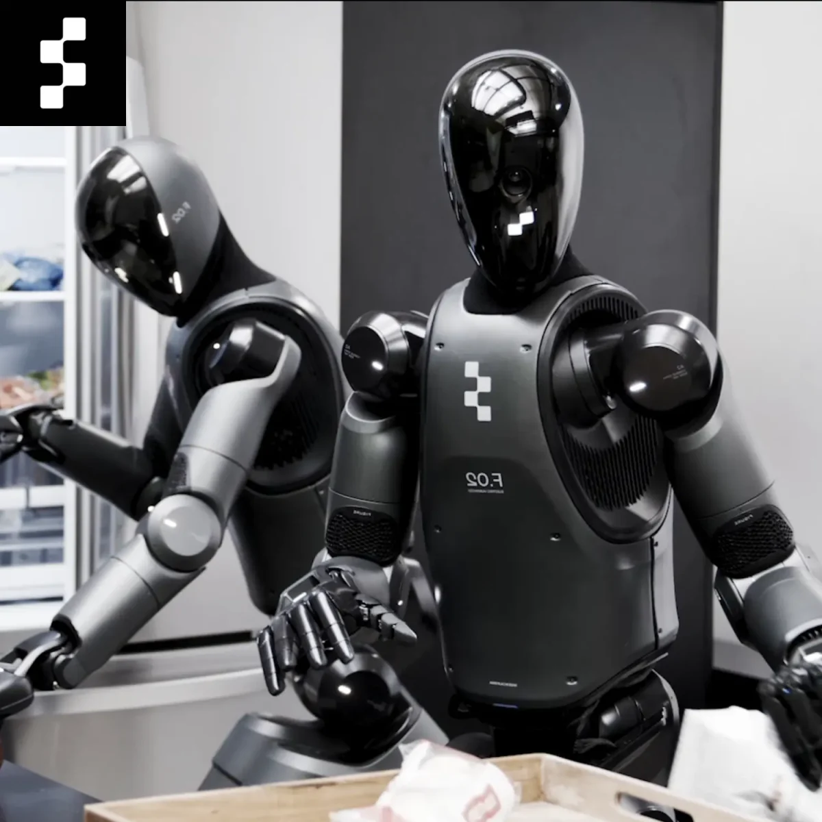 Helix Foundation Model - Humanoid Guide