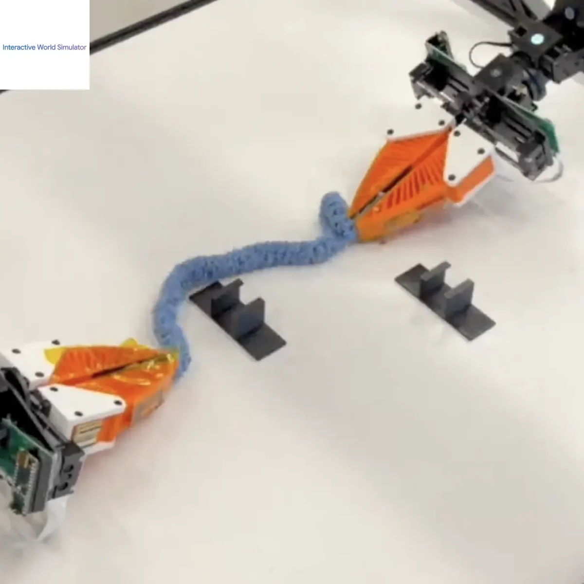 Interactive World Simulator (IWS)