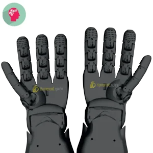 RH6D robot hand by Seed Robotics - Humanoid Huide