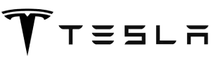 Tesla logo humanoid guide