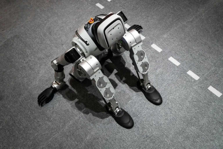 Leader Harmonious reports profit rise on Chinese humanoid robots