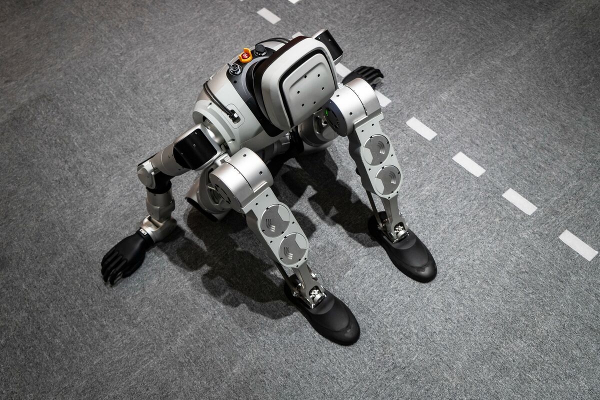 Leader Harmonious reports profit rise on Chinese humanoid robots