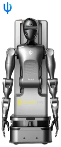 Psi V1