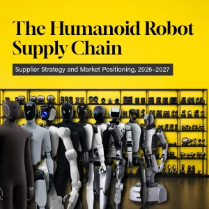 Strategic Positioning of Suppliers in the Humanoid Industry