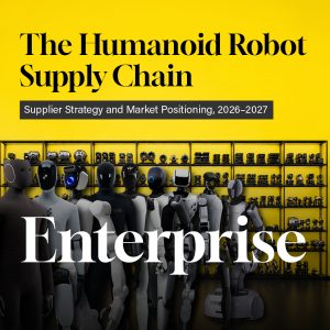 Strategic Positioning of Suppliers in the Humanoid Industry