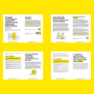 Strategic Positioning of Suppliers in the Humanoid Industry