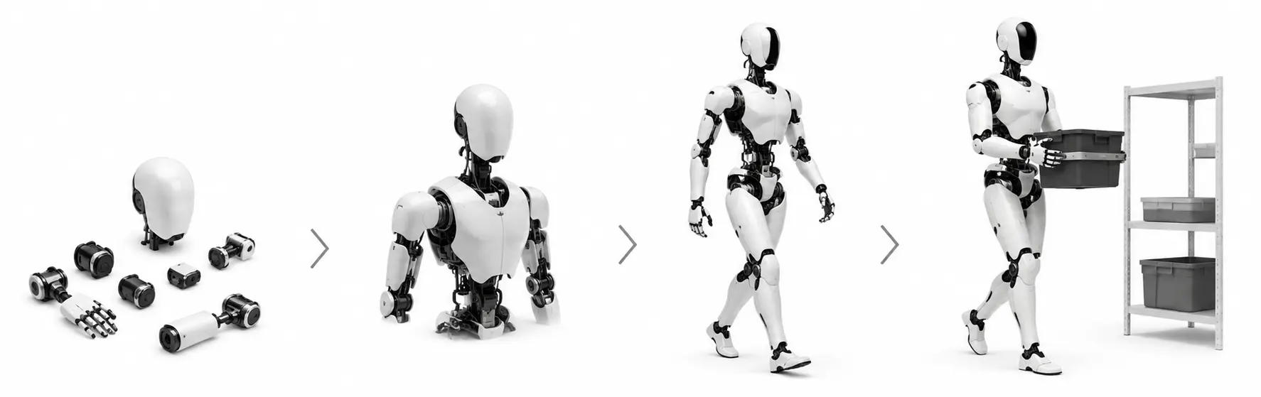 Humanoid timing illustration